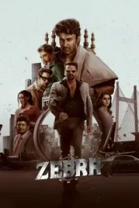 Zebra 2025 Hindi + Telugu South Movie HD